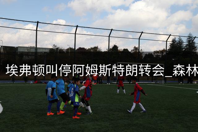埃弗顿叫停阿姆斯特朗转会 森林引援计划落空